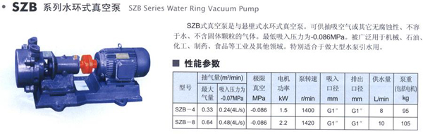 水環式真空泵